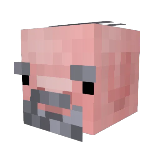 soossi_ Minecraft avatar head, 3D render