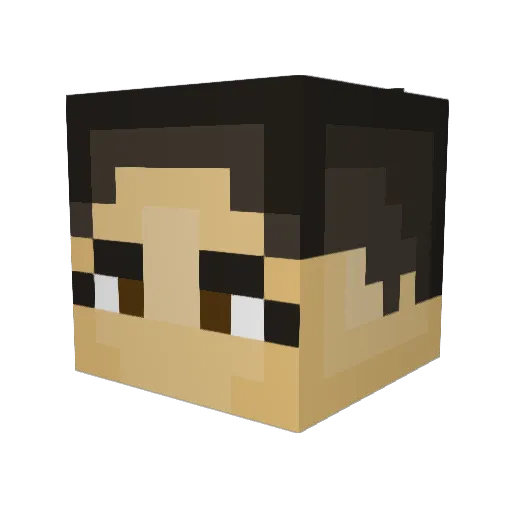 soot5 Minecraft avatar head, 3D render