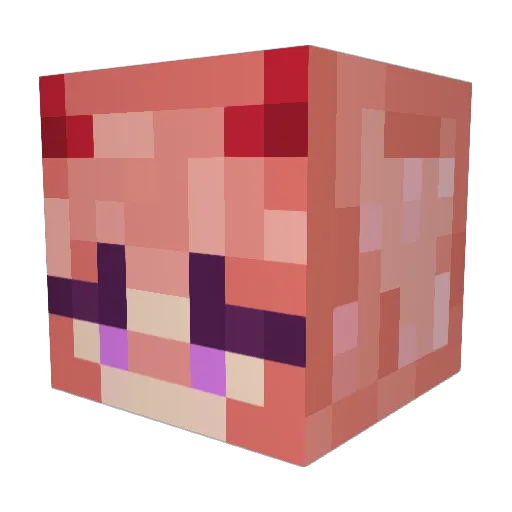 sopadearroz1 Minecraft avatar head, 3D render