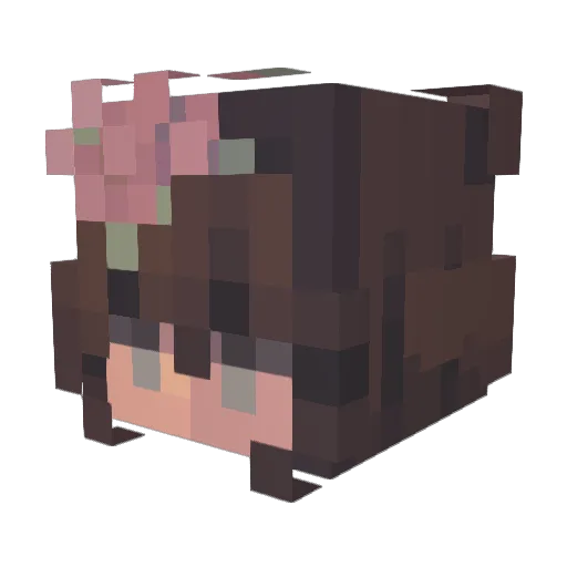 sopaipilla95 Minecraft avatar head, 3D render