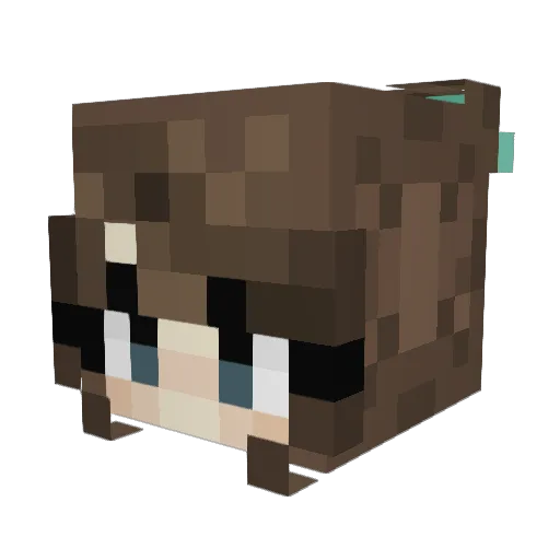 sophaloaf22 Minecraft avatar head, 3D render