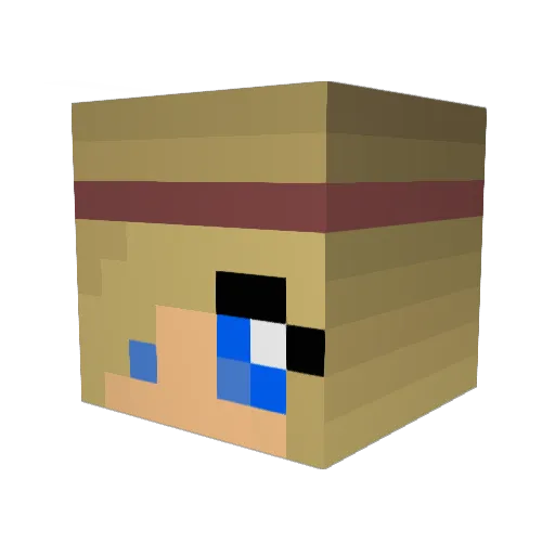 sophelizabeth007 Minecraft avatar head, 3D render