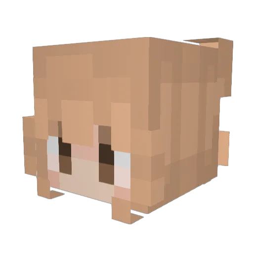 sophforeal Minecraft avatar head, 3D render