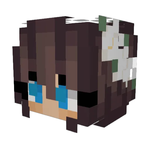 sophia113 Minecraft avatar head, 3D render
