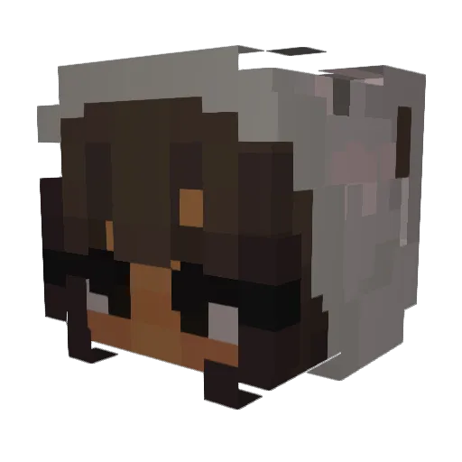 sophia_xo Minecraft avatar head, 3D render