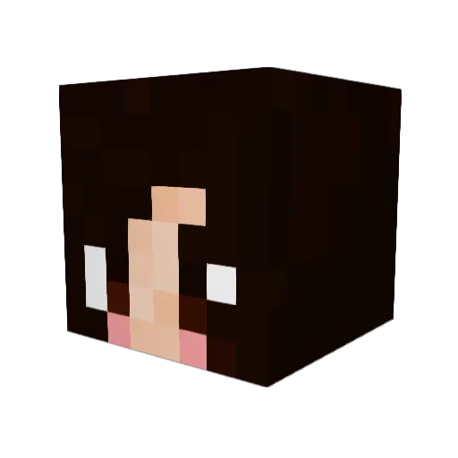 sophialee0815 Minecraft avatar head, 3D render