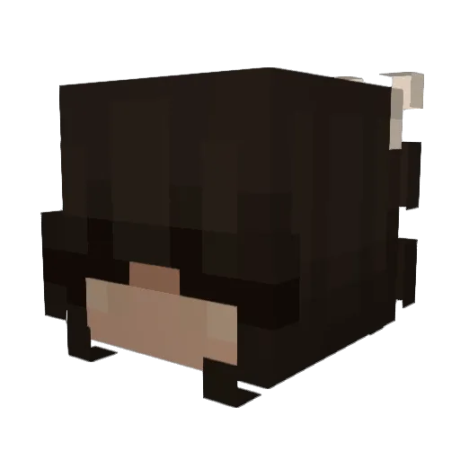 sophiaribeiro Minecraft avatar head, 3D render