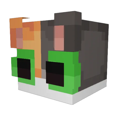 sophieloe Minecraft avatar head, 3D render