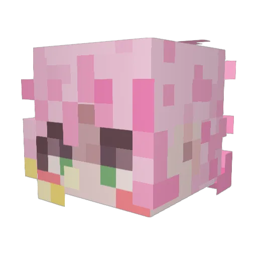 sophiemuffin_ Minecraft avatar head, 3D render