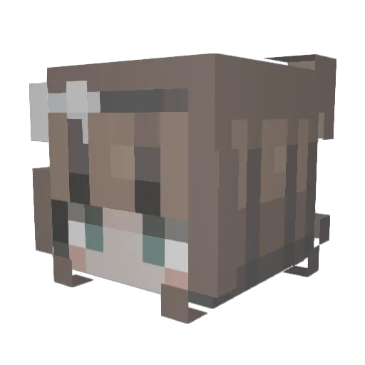 sophist1cate Minecraft avatar head, 3D render