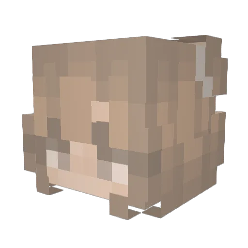 sophistique_ Minecraft avatar head, 3D render