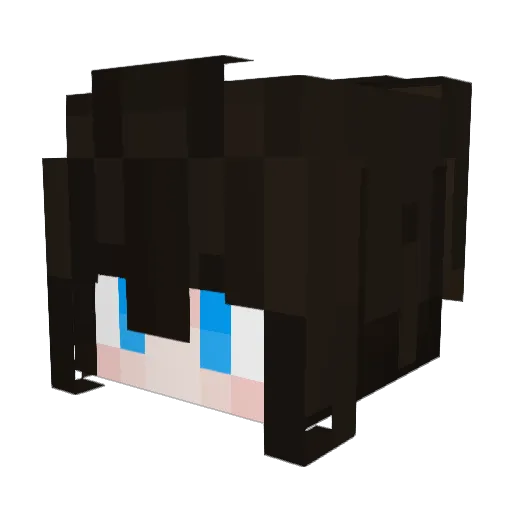 sophistry_ Minecraft avatar head, 3D render