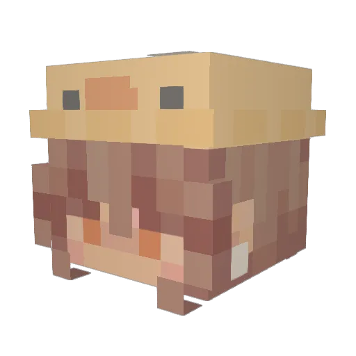 sophmoph Minecraft avatar head, 3D render