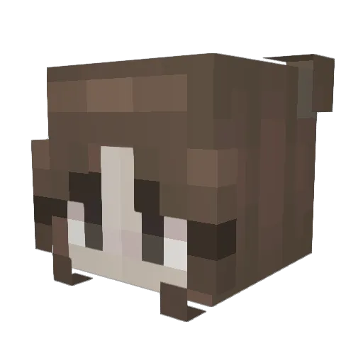 sophonly_ Minecraft avatar head, 3D render