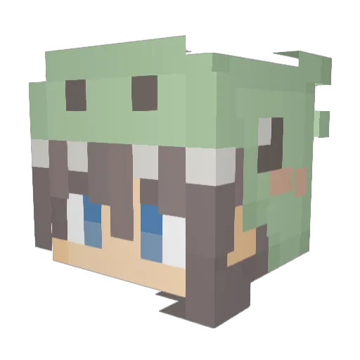 sophr02 Minecraft avatar head, 3D render