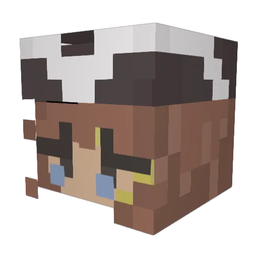 sophrv_ Minecraft avatar head, 3D render
