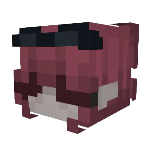 sophsizzle Minecraft avatar head, 3D render
