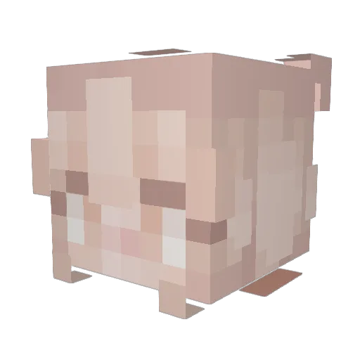 sophuuu Minecraft avatar head, 3D render