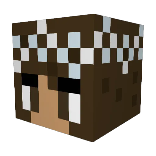 sophycleo Minecraft avatar head, 3D render