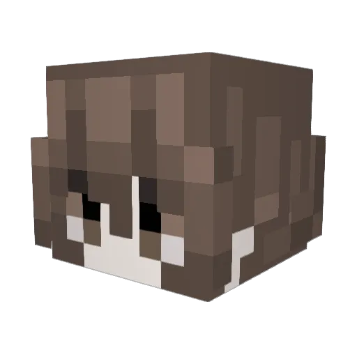 sophyee_ Minecraft avatar head, 3D render