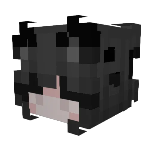 sophyx_ Minecraft avatar head, 3D render