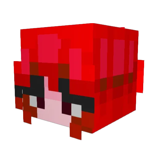 sopitapipi Minecraft avatar head, 3D render