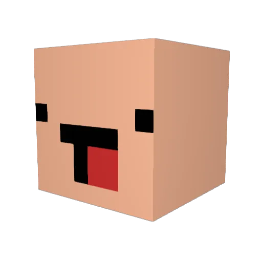 soraaaaaaaaaaaJP Minecraft avatar head, 3D render