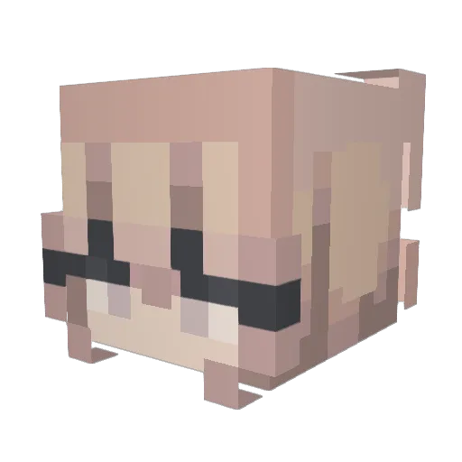 sorajil Minecraft avatar head, 3D render