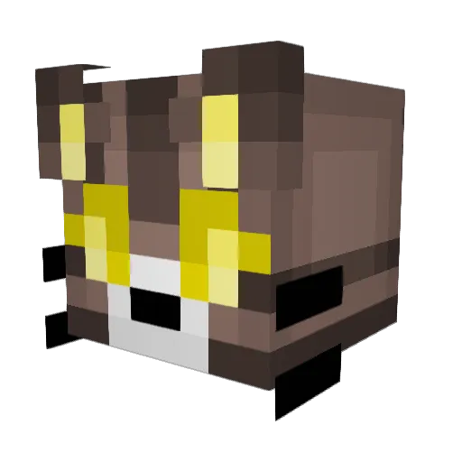 sorenflying Minecraft avatar head, 3D render