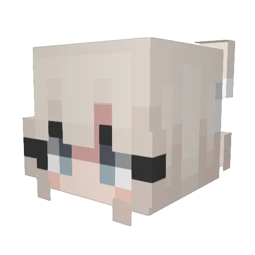 sorenhokai Minecraft avatar head, 3D render
