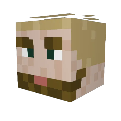 sorenlikespen15 Minecraft avatar head, 3D render