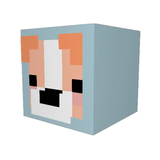 sorenspawn Minecraft avatar head, 3D render