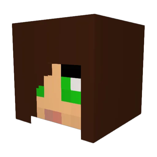 sorgee55 Minecraft avatar head, 3D render