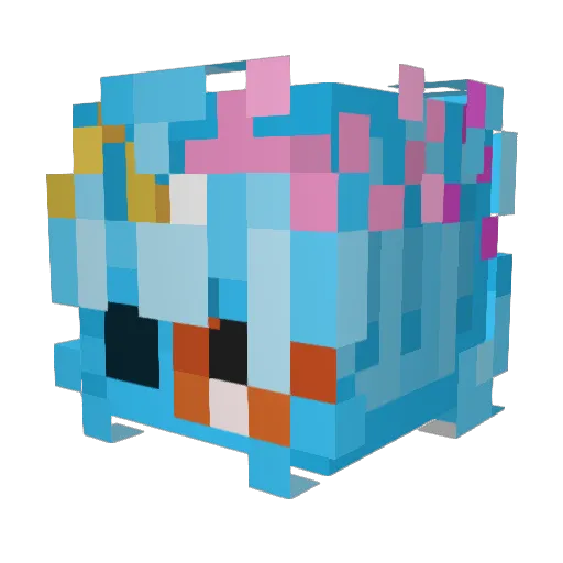 sorhinvevo Minecraft avatar head, 3D render