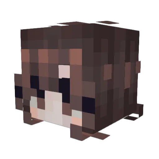sorilla12 Minecraft avatar head, 3D render