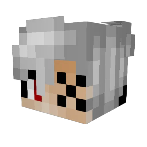 soros11 Minecraft avatar head, 3D render