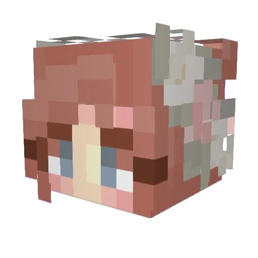 sorry_its_sarah Minecraft avatar head, 3D render