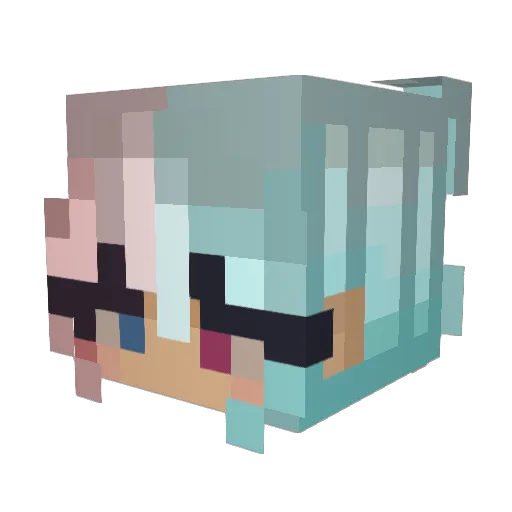 sorry_loveya_bye Minecraft avatar head, 3D render