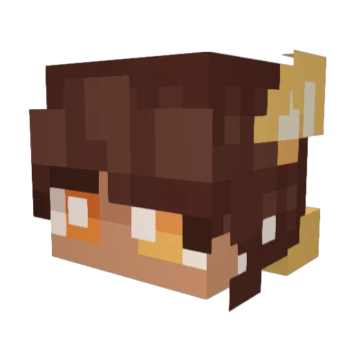 sorrymisclicked Minecraft avatar head, 3D render