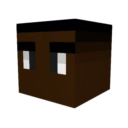 sorrynpctim Minecraft avatar head, 3D render
