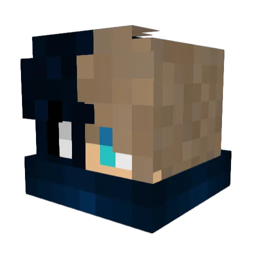 sorube11 Minecraft avatar head, 3D render
