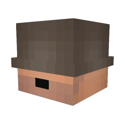 sos_brigade Minecraft avatar head, 3D render