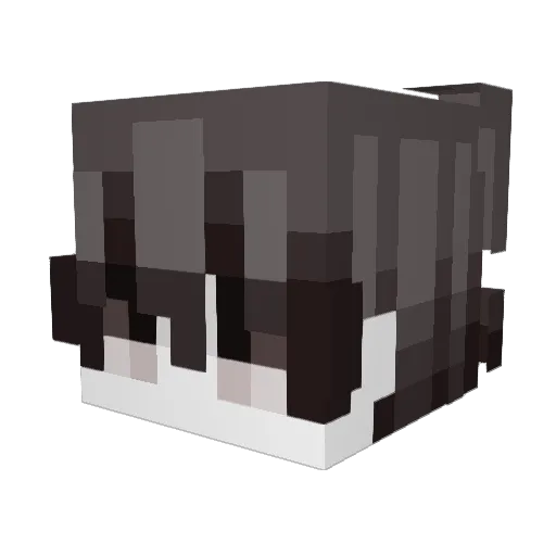 sosaq Minecraft avatar head, 3D render