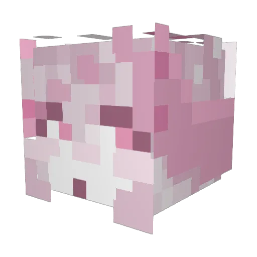 sosilee Minecraft avatar head, 3D render