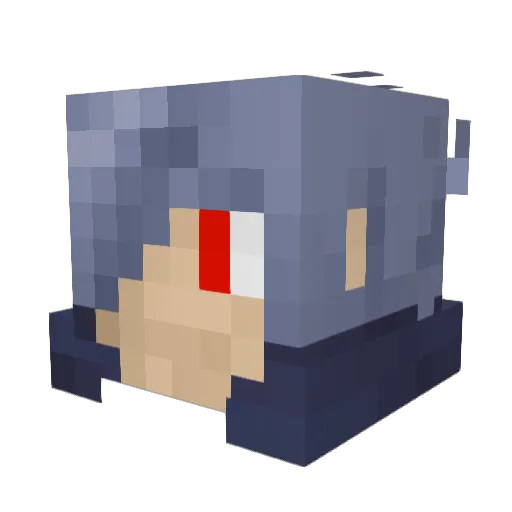soslas Minecraft avatar head, 3D render