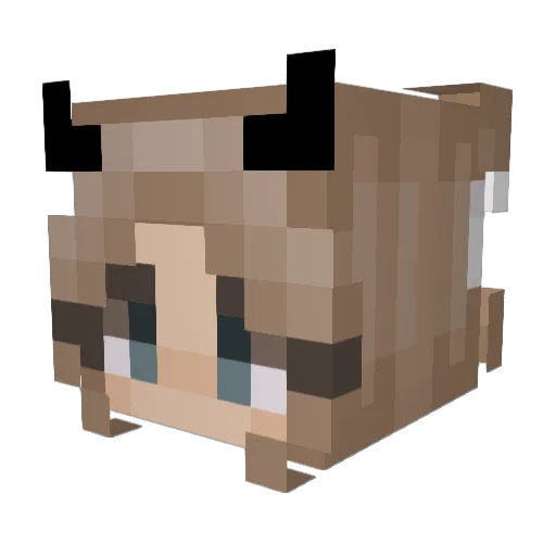 sosoblocky Minecraft avatar head, 3D render