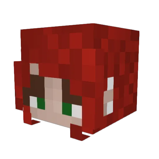 sosolation Minecraft avatar head, 3D render