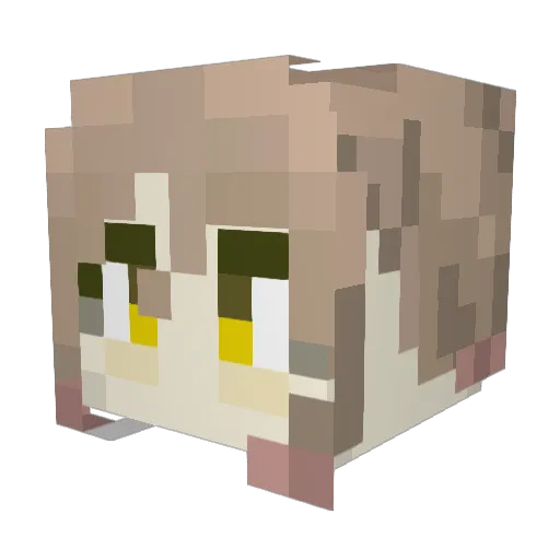 sota2008 Minecraft avatar head, 3D render