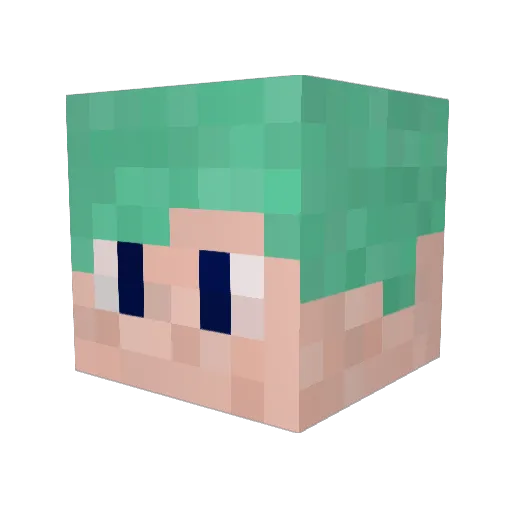 sota2486 Minecraft avatar head, 3D render
