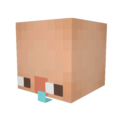 soturi5 Minecraft avatar head, 3D render